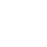 Apple icon