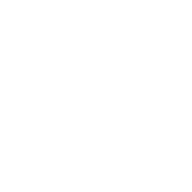 Windows icon